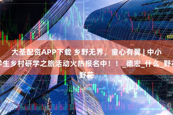 大圣配资APP下载 乡野无界，童心有翼 | 中小学生乡村研学之旅活动火热报名中！！_德宏_什么_野花