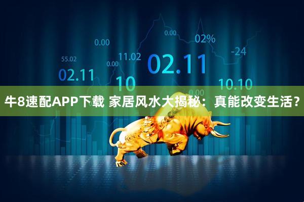 牛8速配APP下载 家居风水大揭秘：真能改变生活？